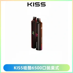 KIS5WAGOO哇酷6500口拋棄式 | 自由混搭雙口味 | 雙芯組合
